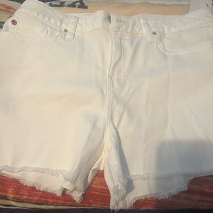 Brand new Hudson shorts size 32